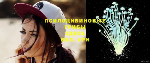 прущая мука Касимов
