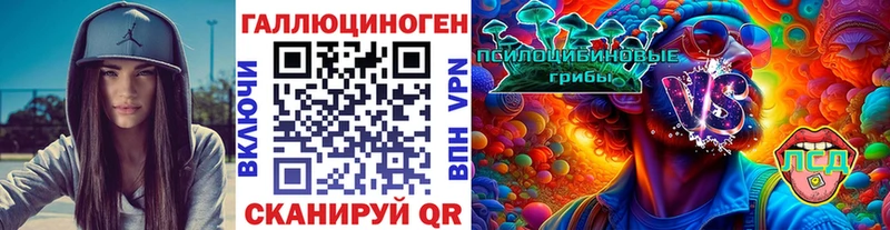 Купить  Дубна  Псилоцибиновые грибы Psilocybe 