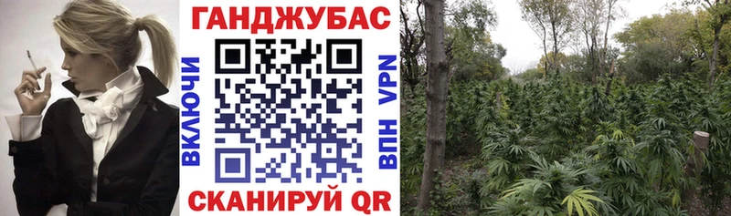 Бошки Шишки гибрид Купить где Дубна